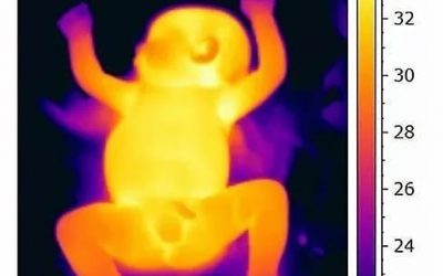 ¿Hay que fiarse de las manos y los pies para saber si tienen frío o calor los bebés?
